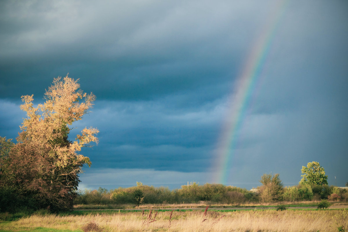 осеннее очарование - Lana Suprunjuk осеннее очарование - Lana Suprunjuk