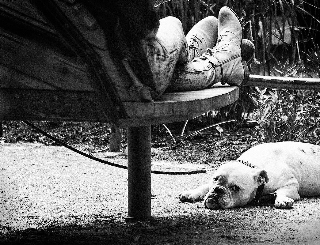 Взгляд из-под... - Николай Кутян