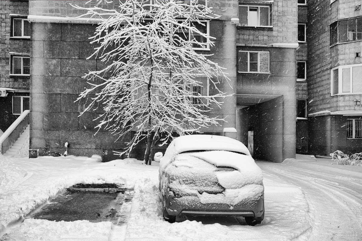 Падал снег. Новосибирск 2015 год. - Константин Филоненко Падал снег. Новосибирск 2015 год. - Константин Филоненко