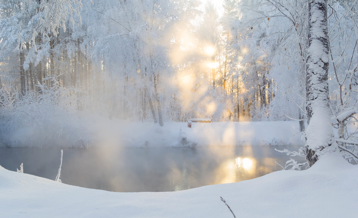 Зимняя сказка - Алексей. Бордовский