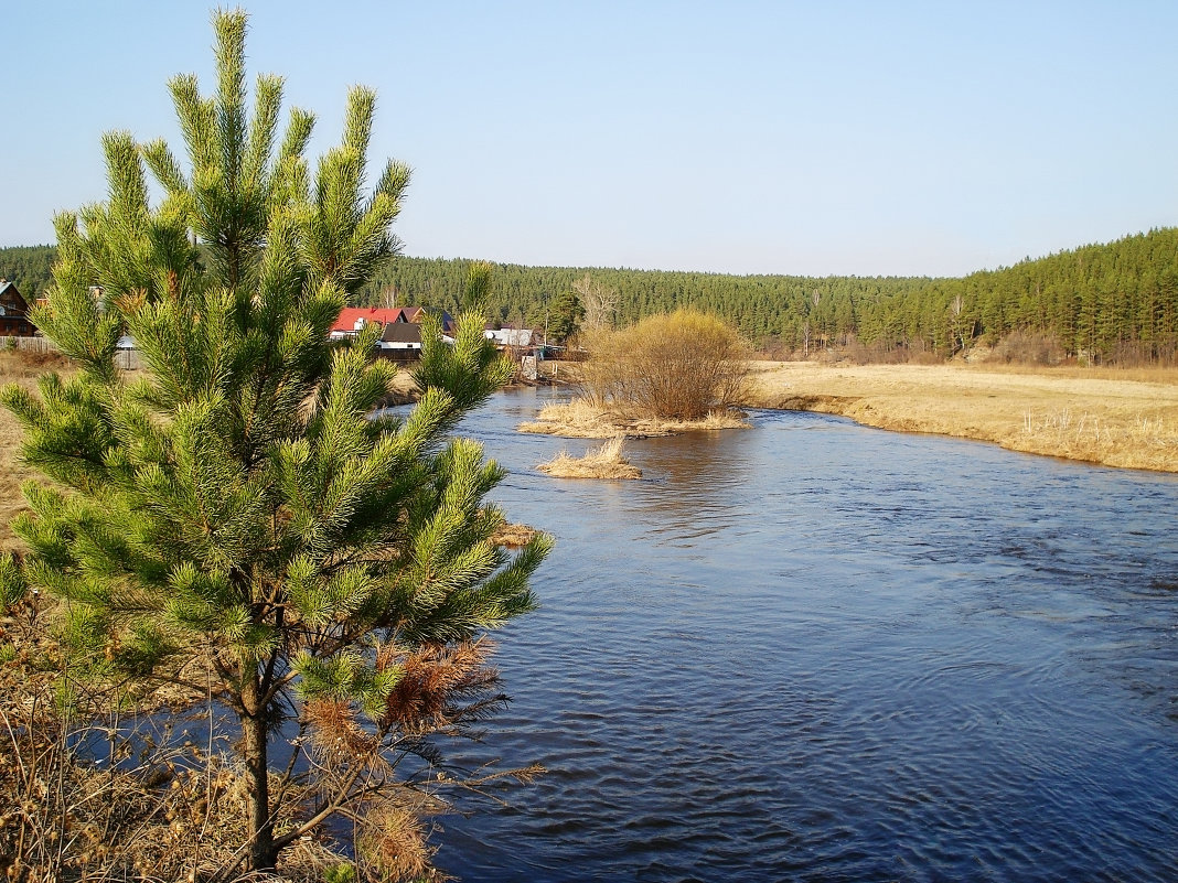 ... - Яна Магик