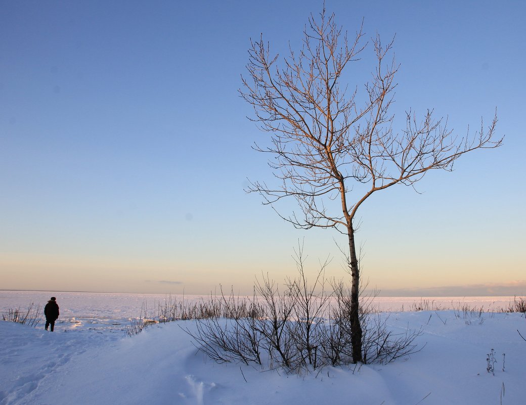Декабрь - Светлана Ку