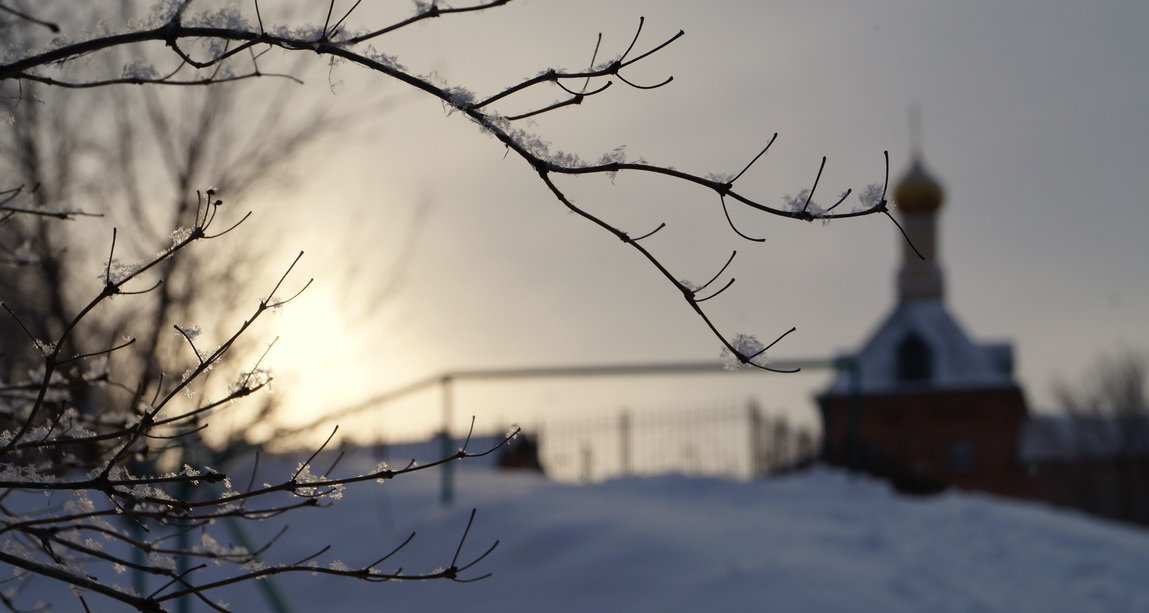 веточка с инеем - Ирина Милонова