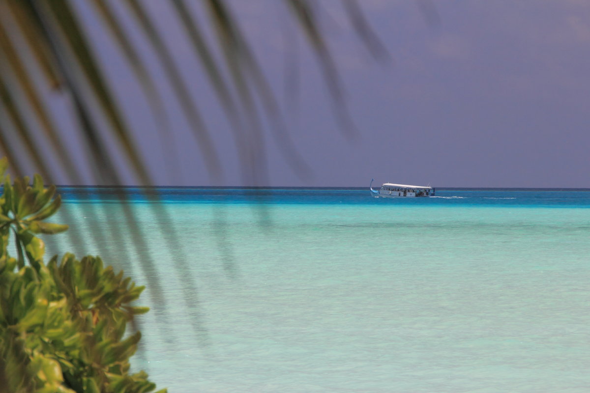 ... - Александр Солдатов