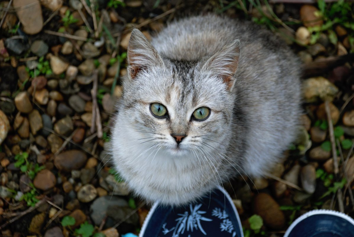 Нафаня - Валерия 