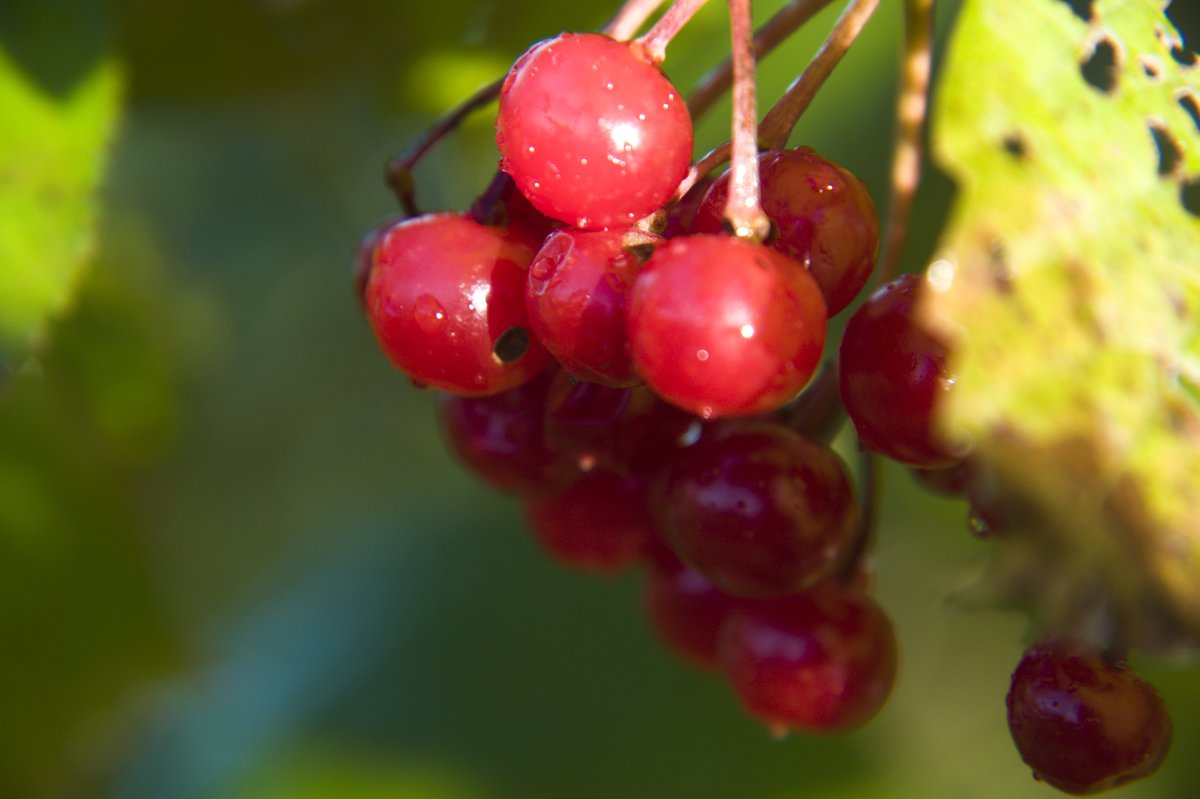 -- - Александр Малюгин -- - Александр Малюгин