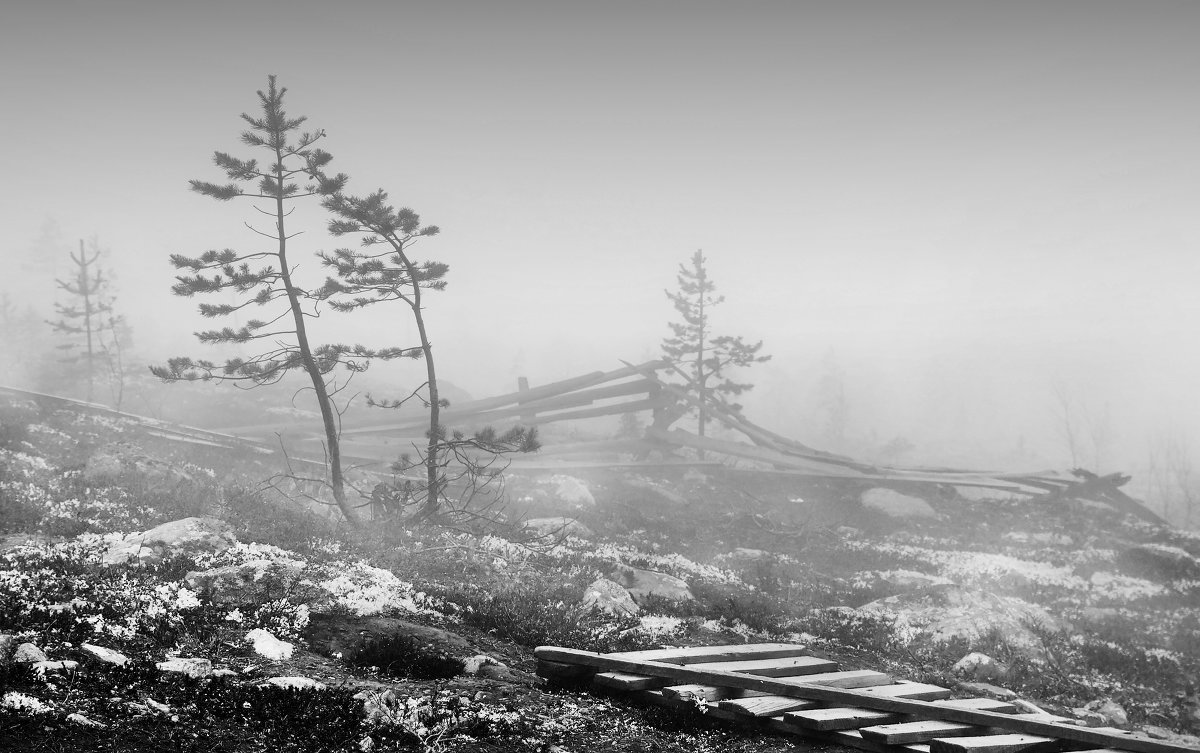 Туманные отношения - Игорь Чубаров