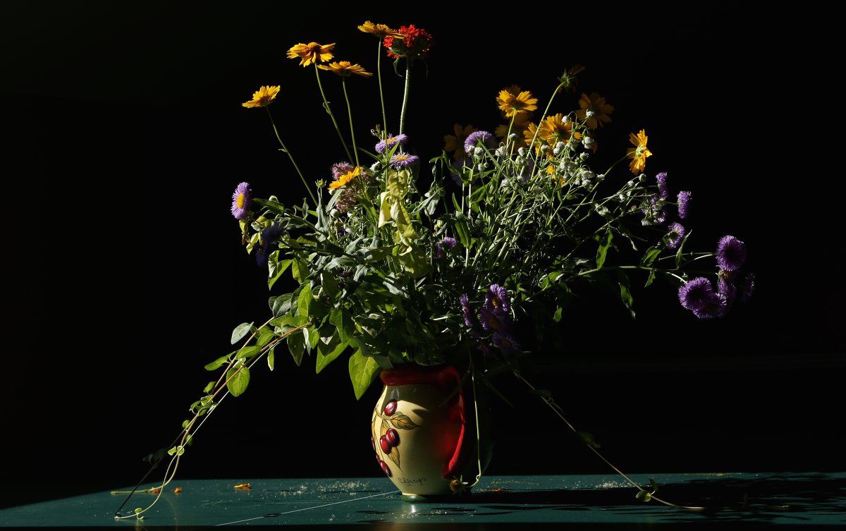 полевые цветы - OLGA полевые цветы - OLGA