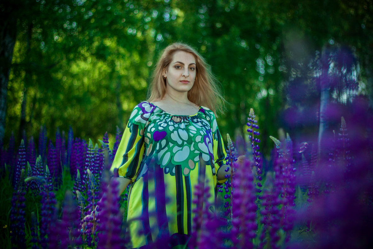 Люпиновое настроение - Юлия Замулина Люпиновое настроение - Юлия Замулина