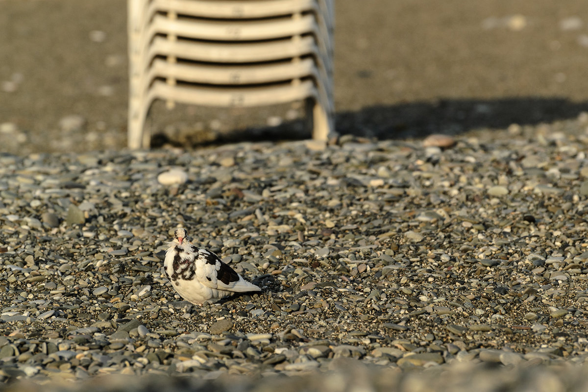 Гуру маскировки - Yuri Silin