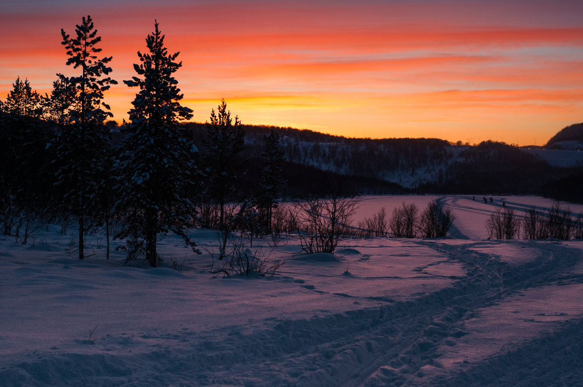 Полярная ночь - Sergey 