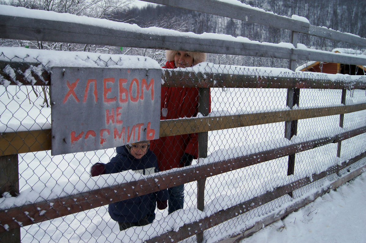 Ребенка не кормить, маму не дразнить :) - Aнастасия 