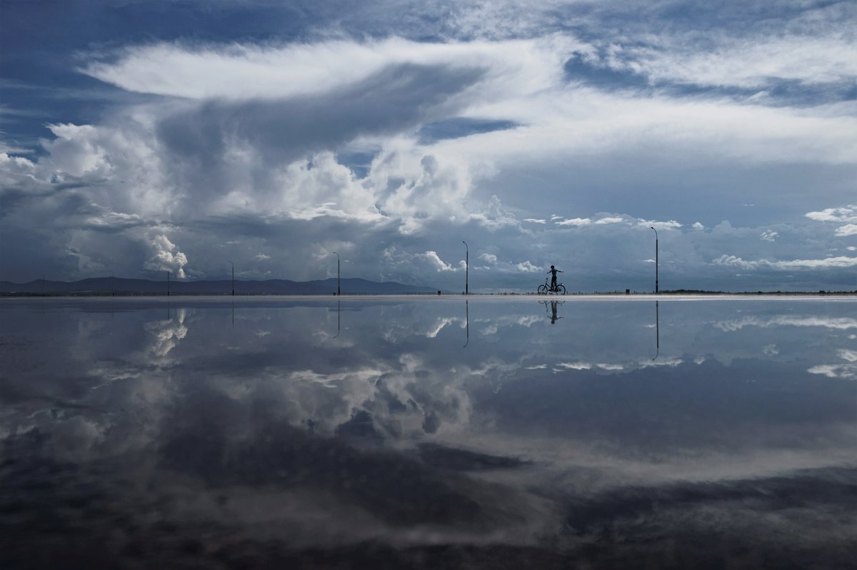 Взмах крыла - Алексей Некрасов