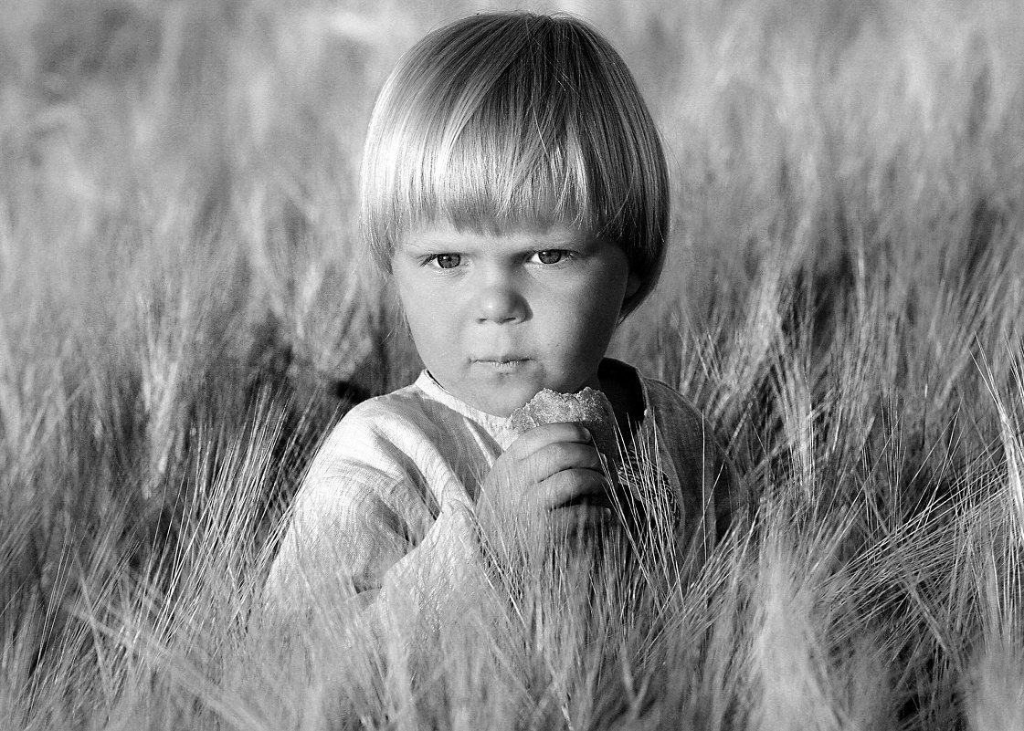 Агрогномик - виктор омельчук