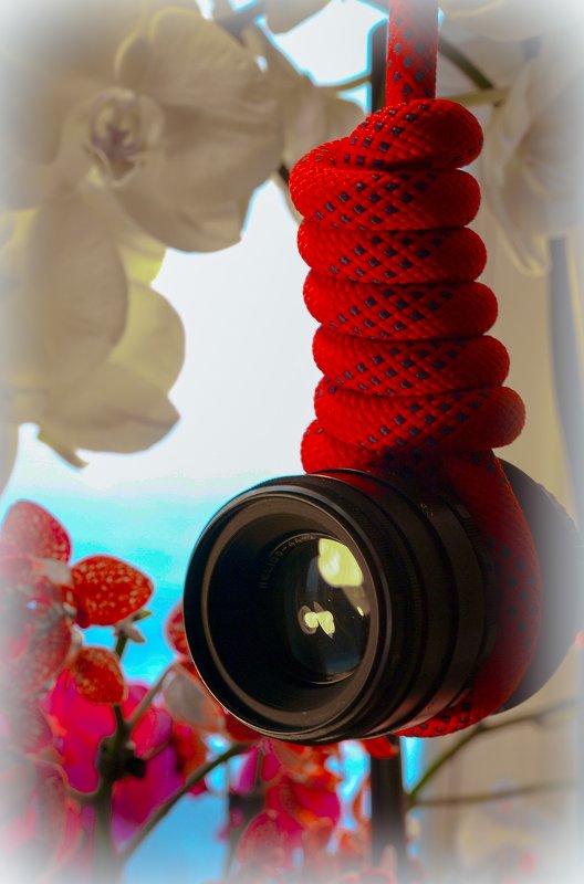 Судьба фотографа - Александр Дьяченко