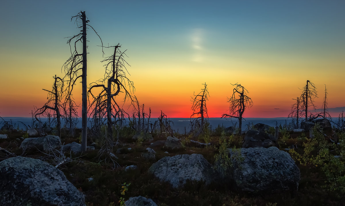 После заката на Воттовааре - Svetlana Sukhorukova