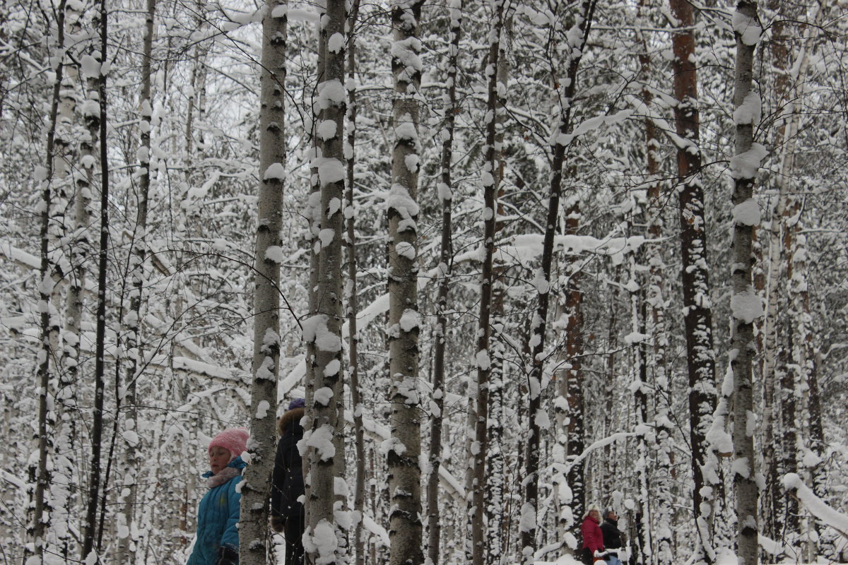 затерявшиеся - Елена Антропова затерявшиеся - Елена Антропова