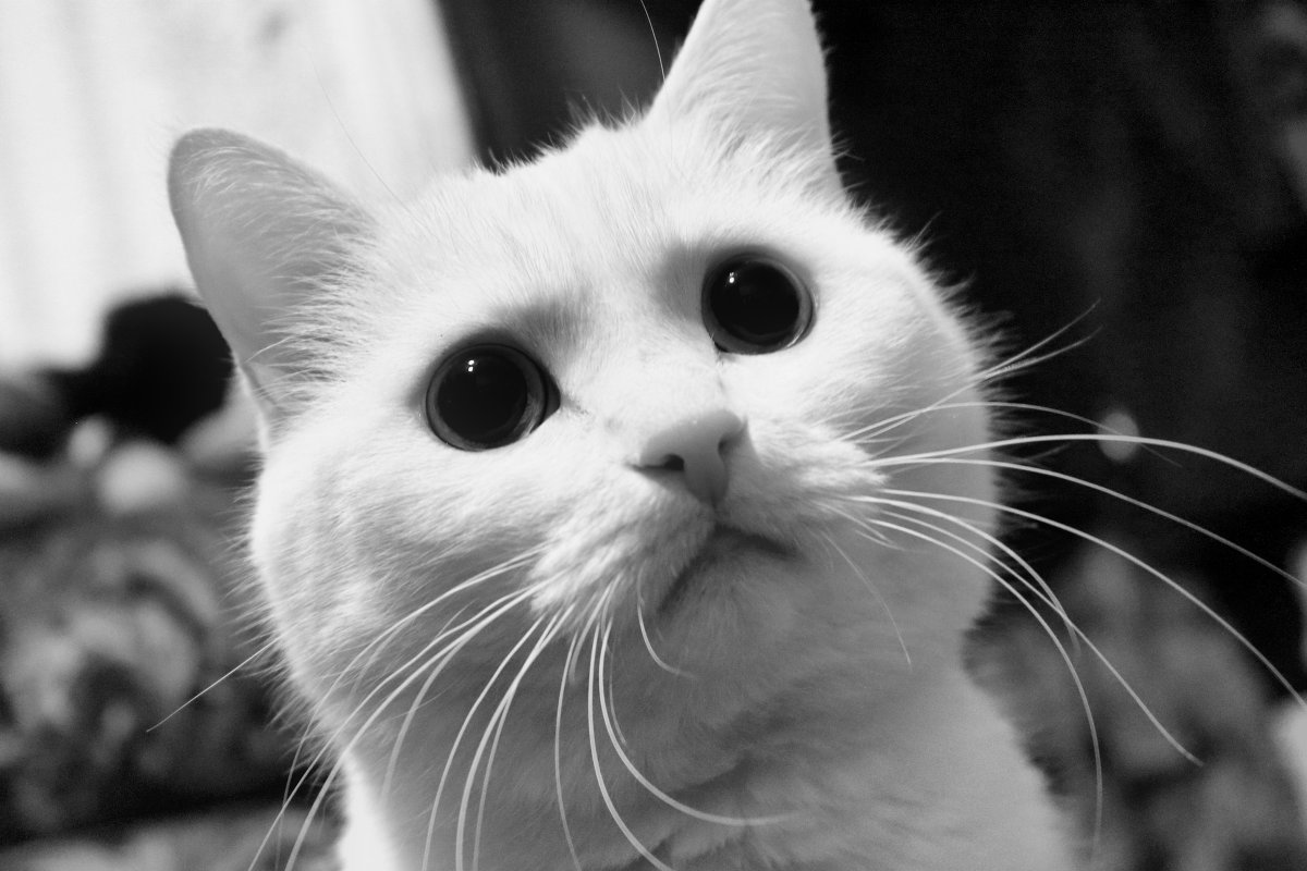 ... - Наталья 