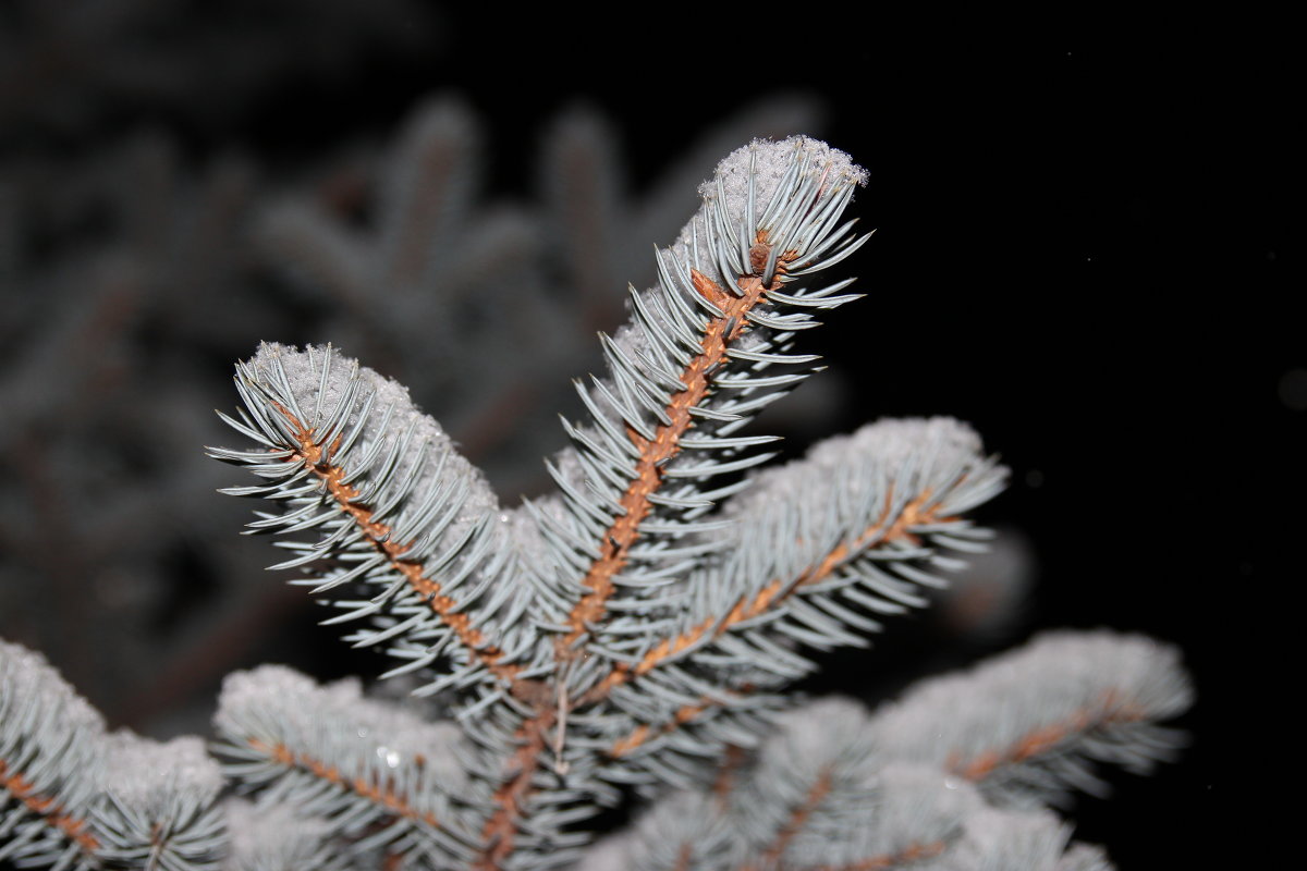 ... - Любовь Перевозникова