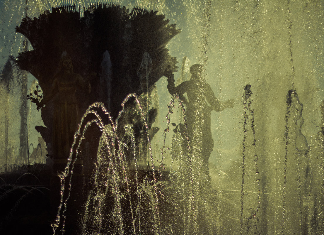 ... - Дмитрий Нигматулин