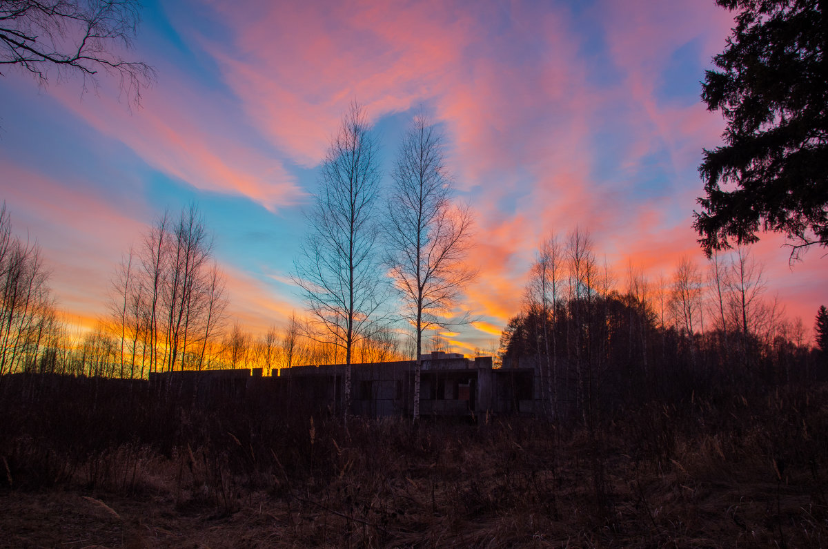 "Зимы ждала, ждала природа..." - Владимир Ветер