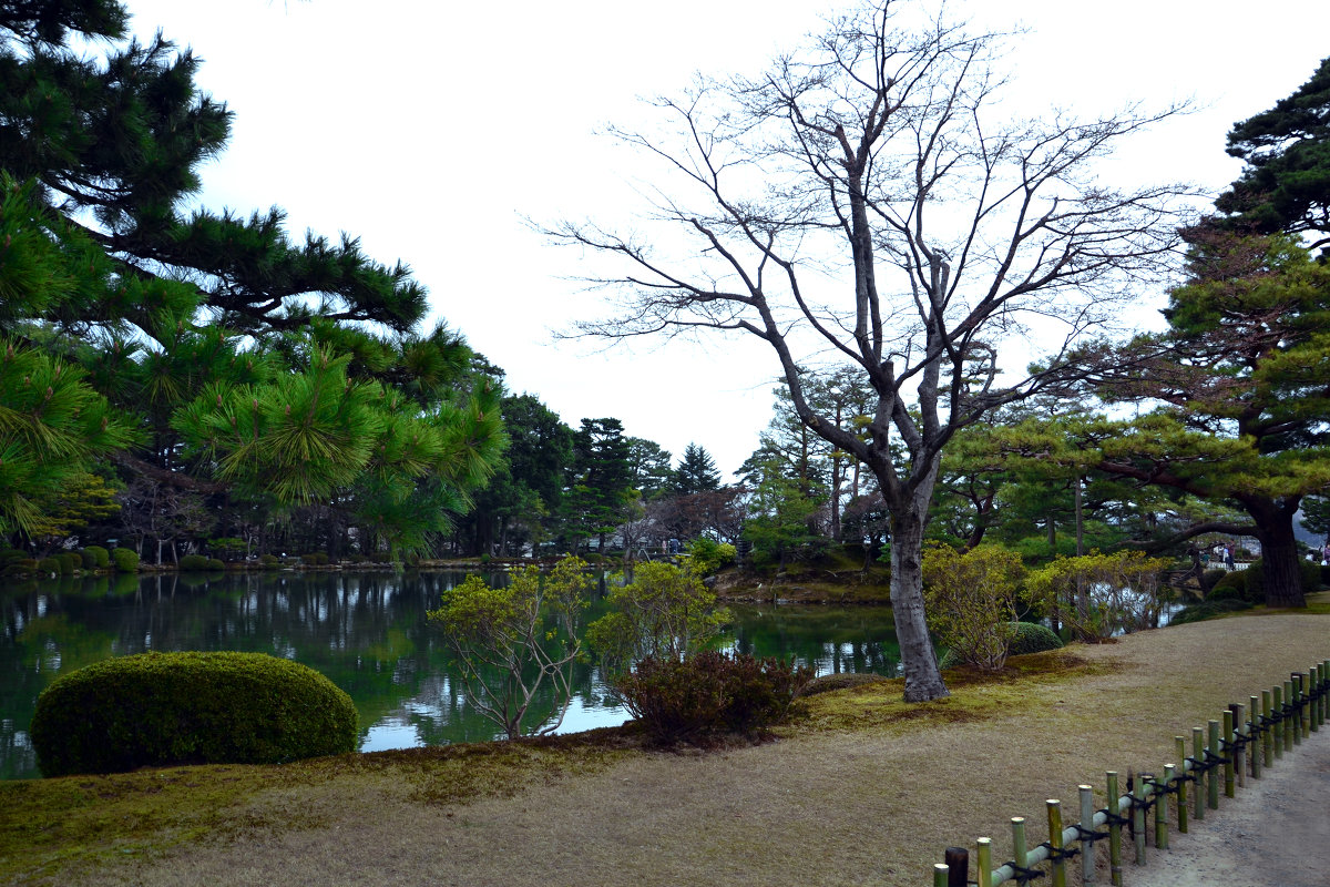 Токио - Марина Корнова