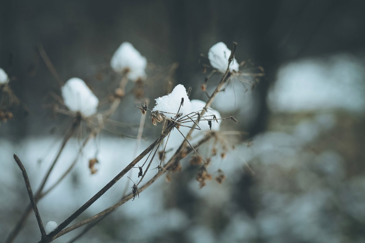 ... - Anastasia Grosova 