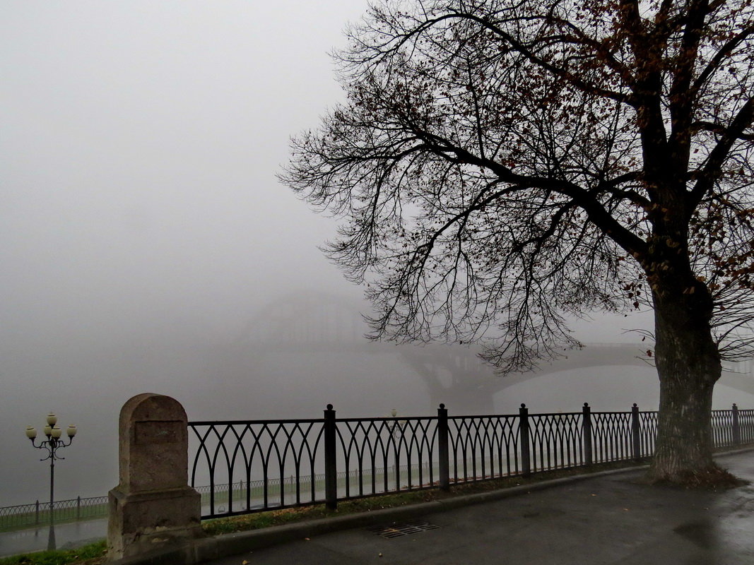 ... - Марина Морозова