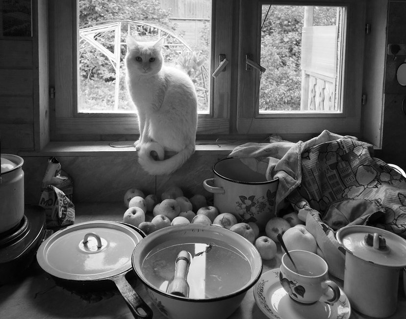 Дежурный по кухне - Василий Чекорин Дежурный по кухне - Василий Чекорин