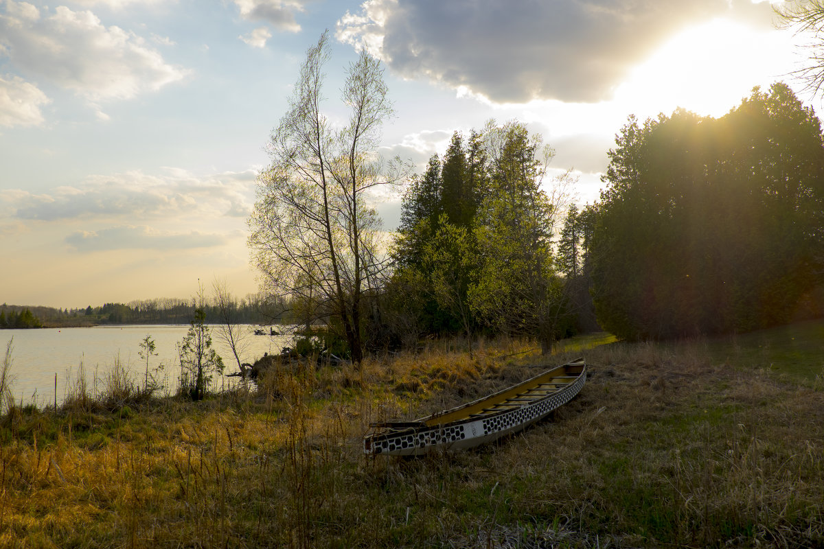 . - Alexander Hersonski