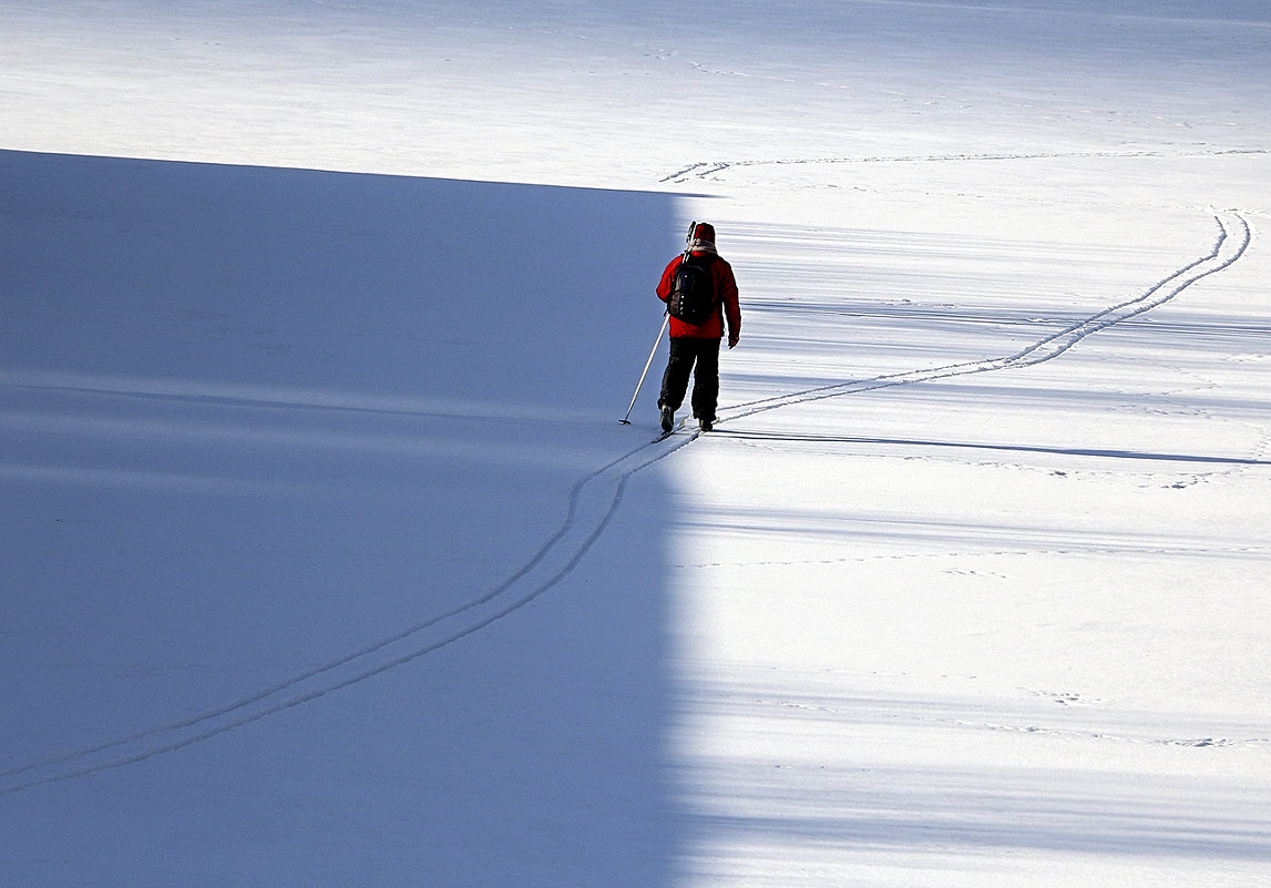 Лыжня - Александр Скибицкий 