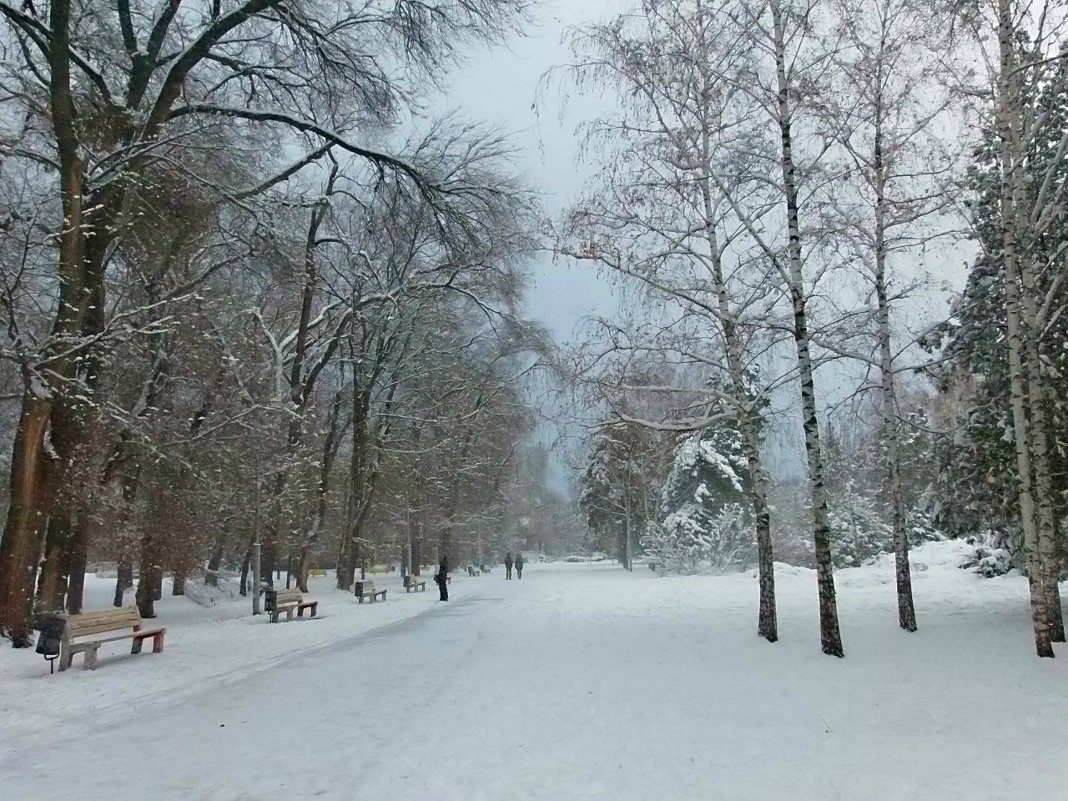 Зимний парк. - Наталья 