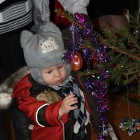 Восторг и удивление! :: Людмила Павловна Крышковец