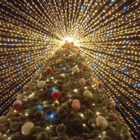 Новый год :: BoxerMak Mak