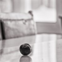 Одинокая слива :: Олег Терёхин Одинокая слива :: Олег Терёхин