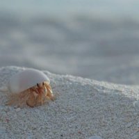 ... :: Кристина Ложкина