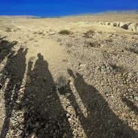 ... :: Алексей Патлах ... :: Алексей Патлах