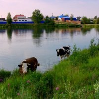 Лето в деревне :: Нэля Лысенко