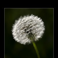 ... :: Валерий Гнездилов 