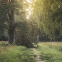 ... :: Максим Вышарь