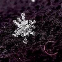 Ледяная симметрия :: Александра В.