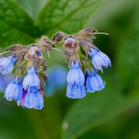 ... :: Жора Житников