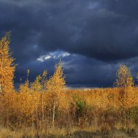 Осень :: Oleg S