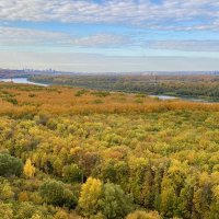 Осенние краски … :: Vilma ---