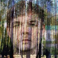 Денис :: Алёна Писарева Денис :: Алёна Писарева
