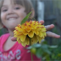 Встреча с зелёным кузнечиком. :: Анатолий Пашковский