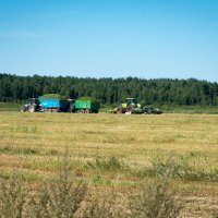 Сенокос :: Роман никандров