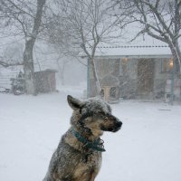 ...В любую погоду :: Vladimir Bilyuk ...В любую погоду :: Vladimir Bilyuk