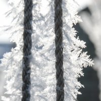 Застывший туман. :: Виктор Лавриченко