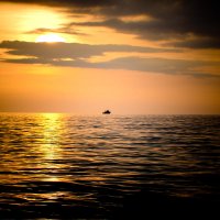 Черноморский закат! Адлер :: Юрий Семыкин